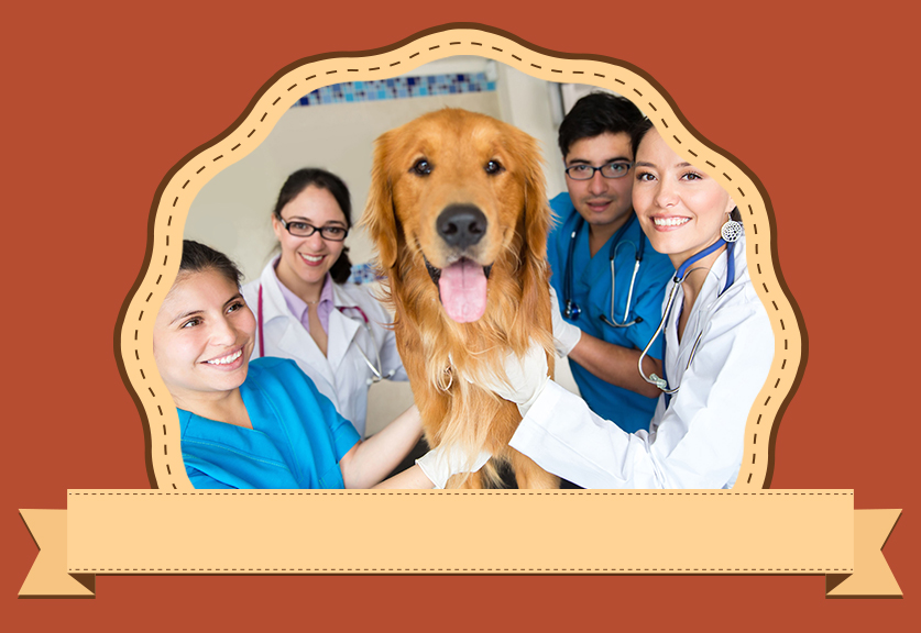 FRIENDLY, PROFESSIONAL VETERINARY CARE